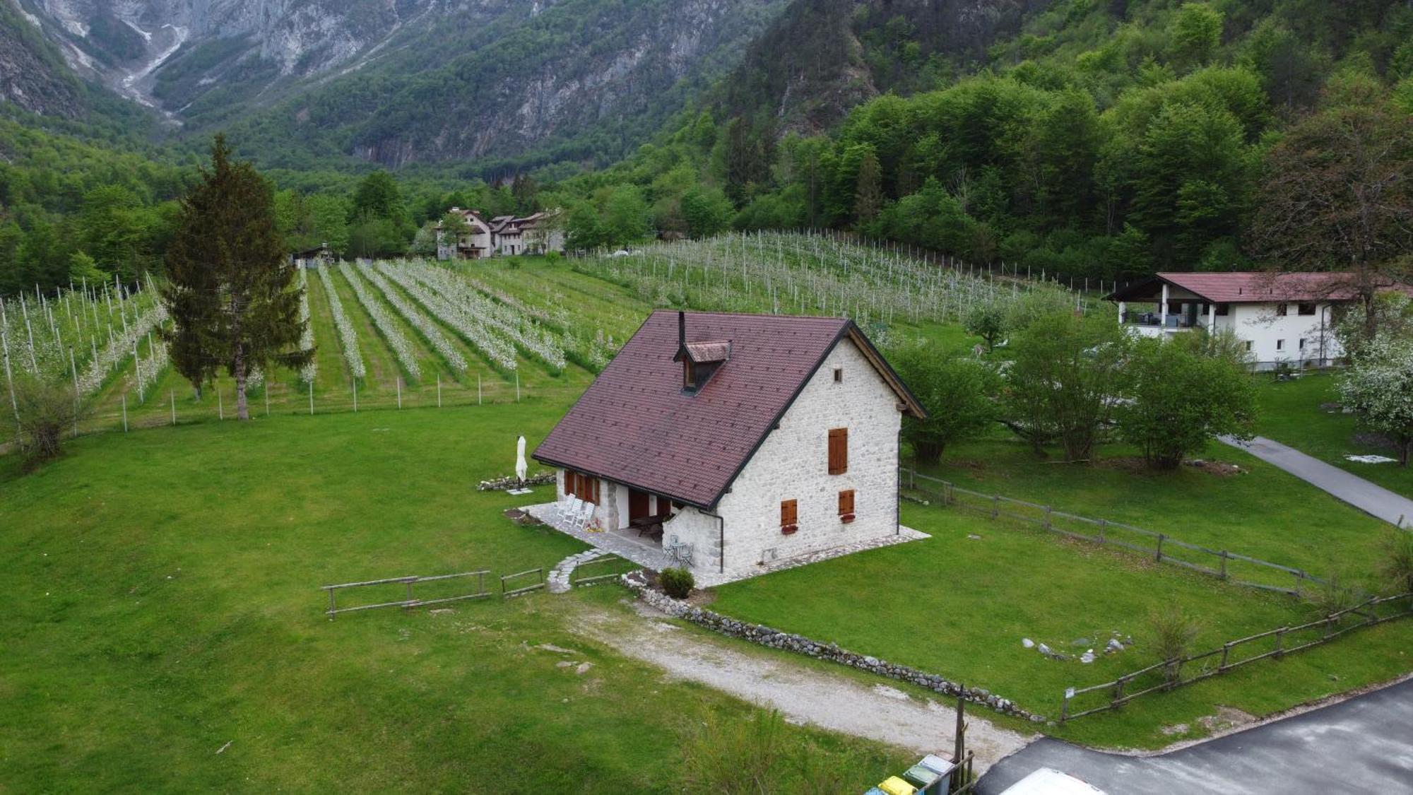 Agriturismo Pian dei Tass Barcis Exterior foto